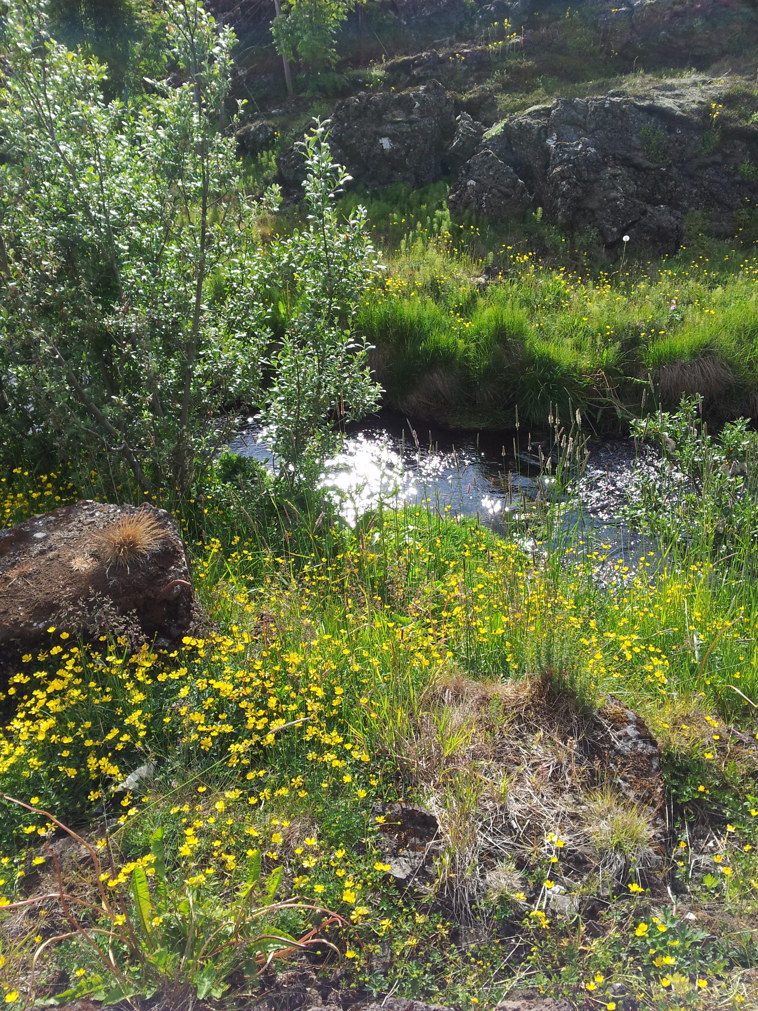 Mynd tekinn á Samsung Galaxy SII