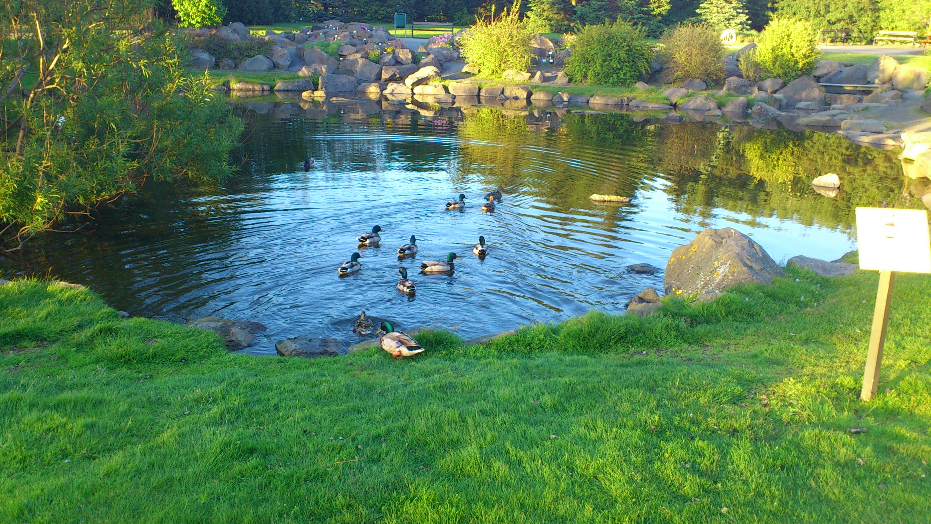Tekin í Grasagarðinu