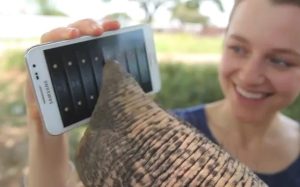 samsung-peter-the-elephant-galaxy-note