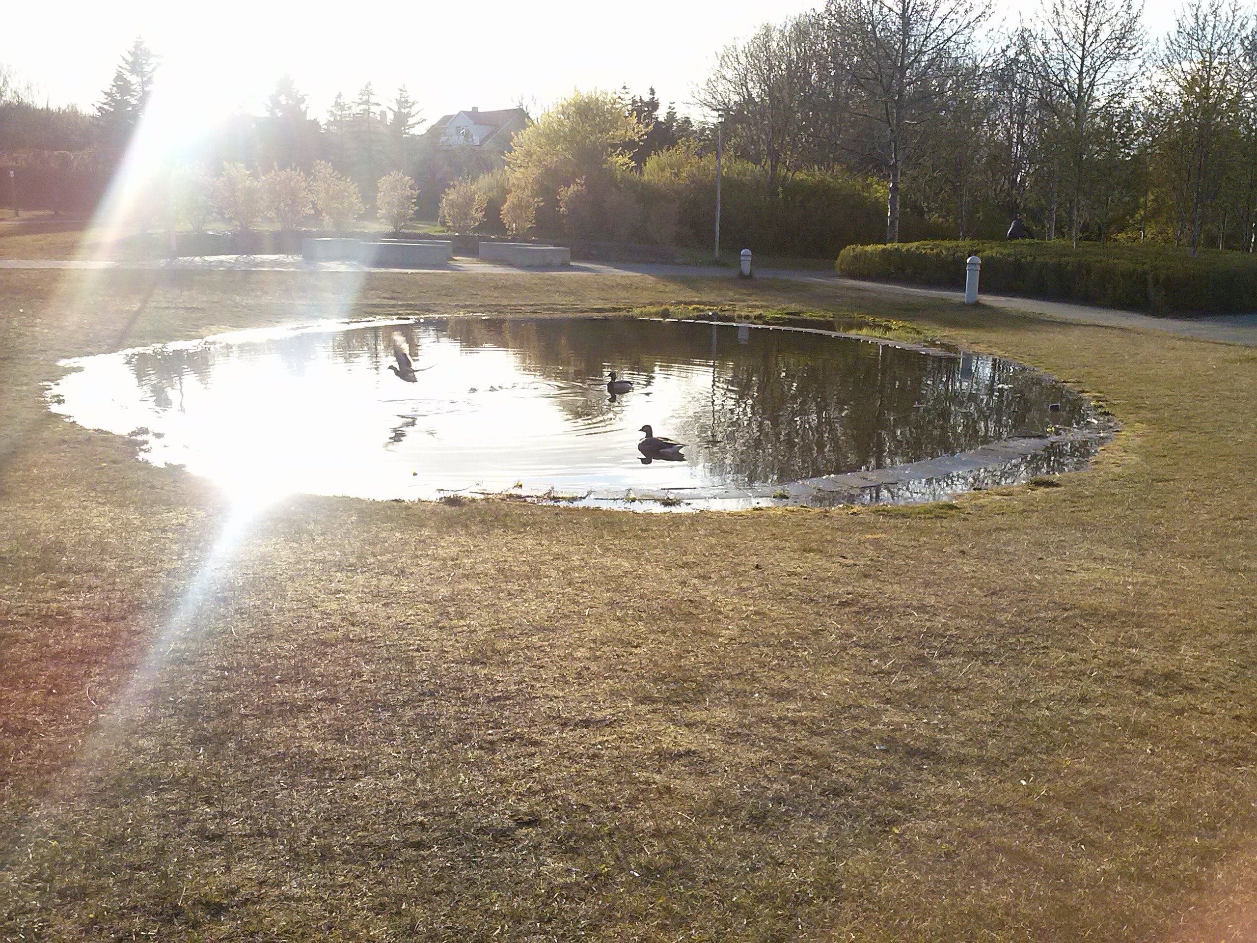 Sýnishorn af mynd tekin á LG Optimus L7