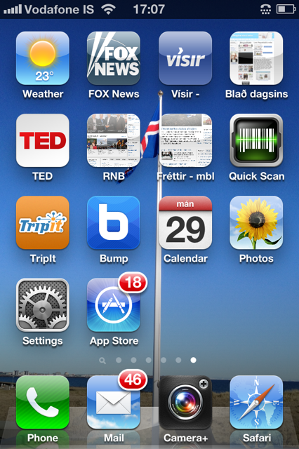 Skjáskot frá Árna