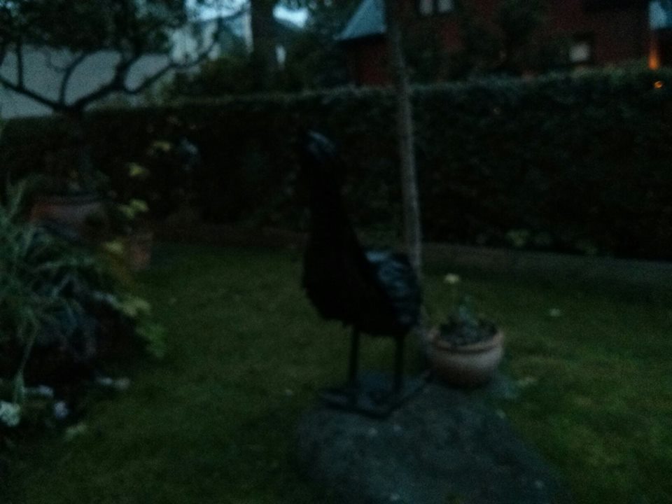 563074_10201433108924925_331906970_n