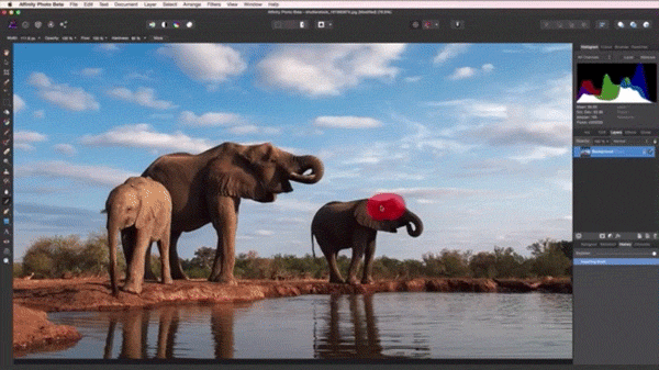 Affinity Photo Eliphant