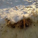 Nexus 5x Úlfljótsvatn test 2