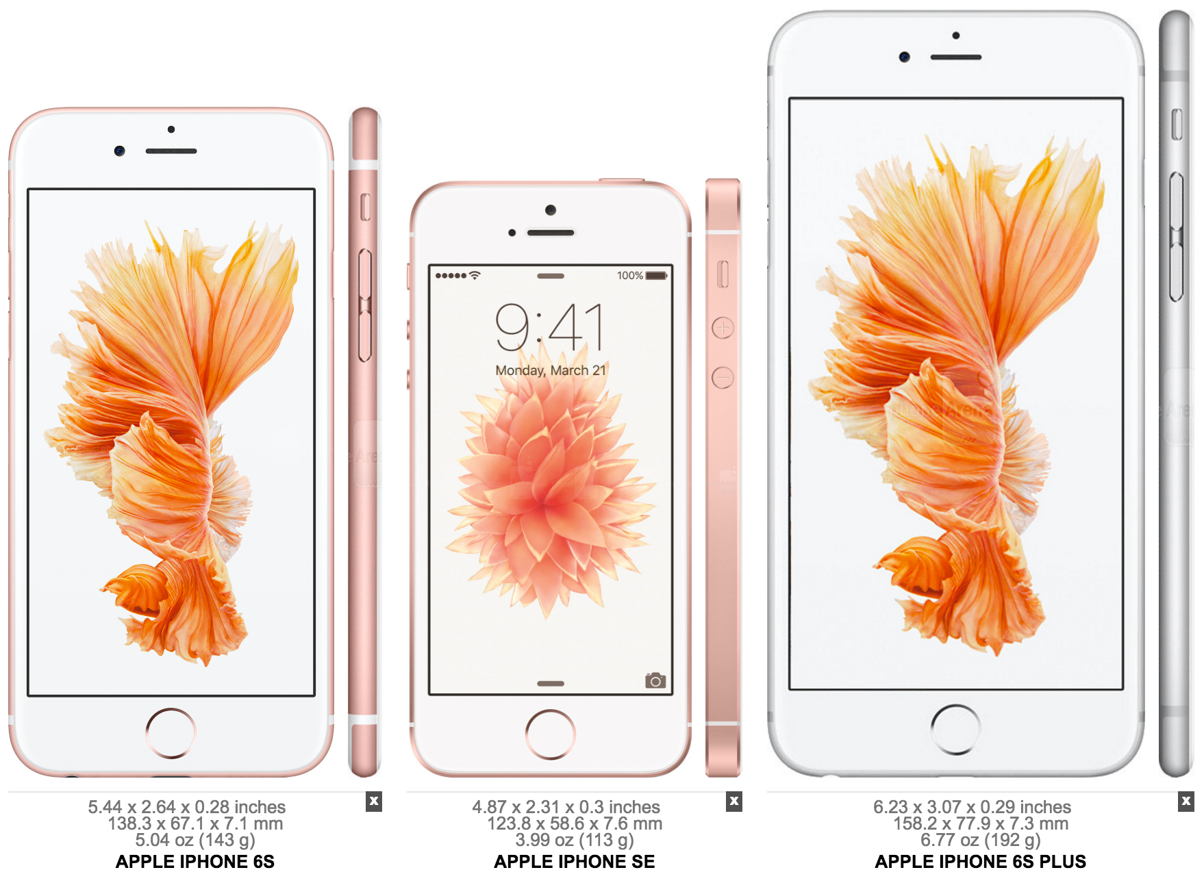 Stærðarsamanburður iPhone SE